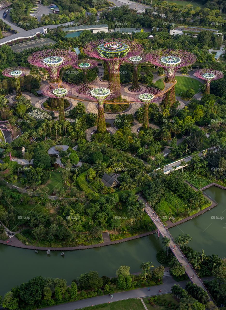 Gardens by the Bay, Singapore from above. 