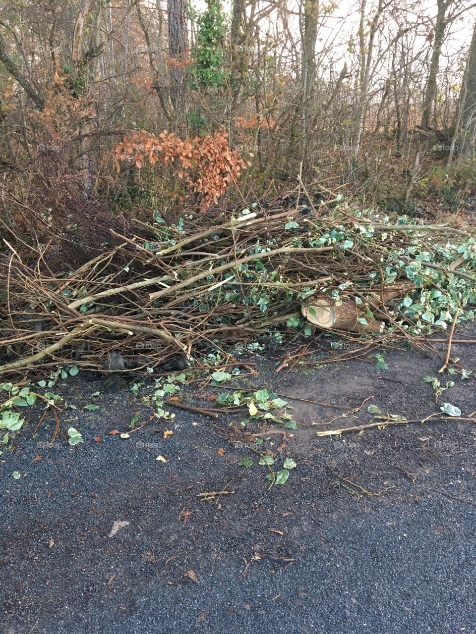 Fly tip cleared 