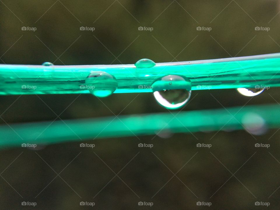 Close-up of raindrops