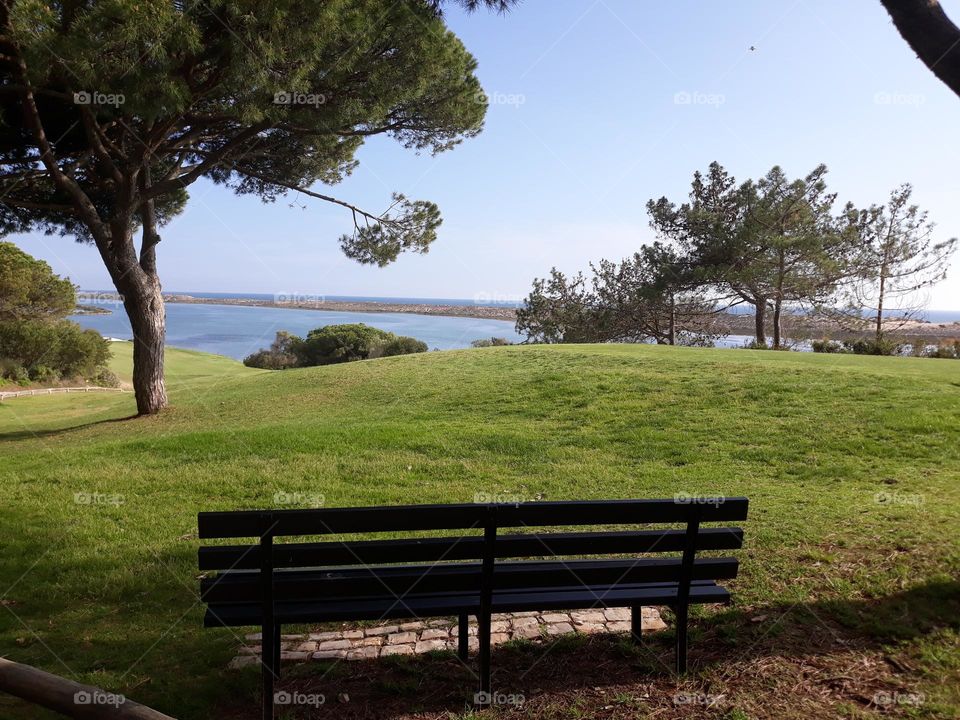 Paradise with a view