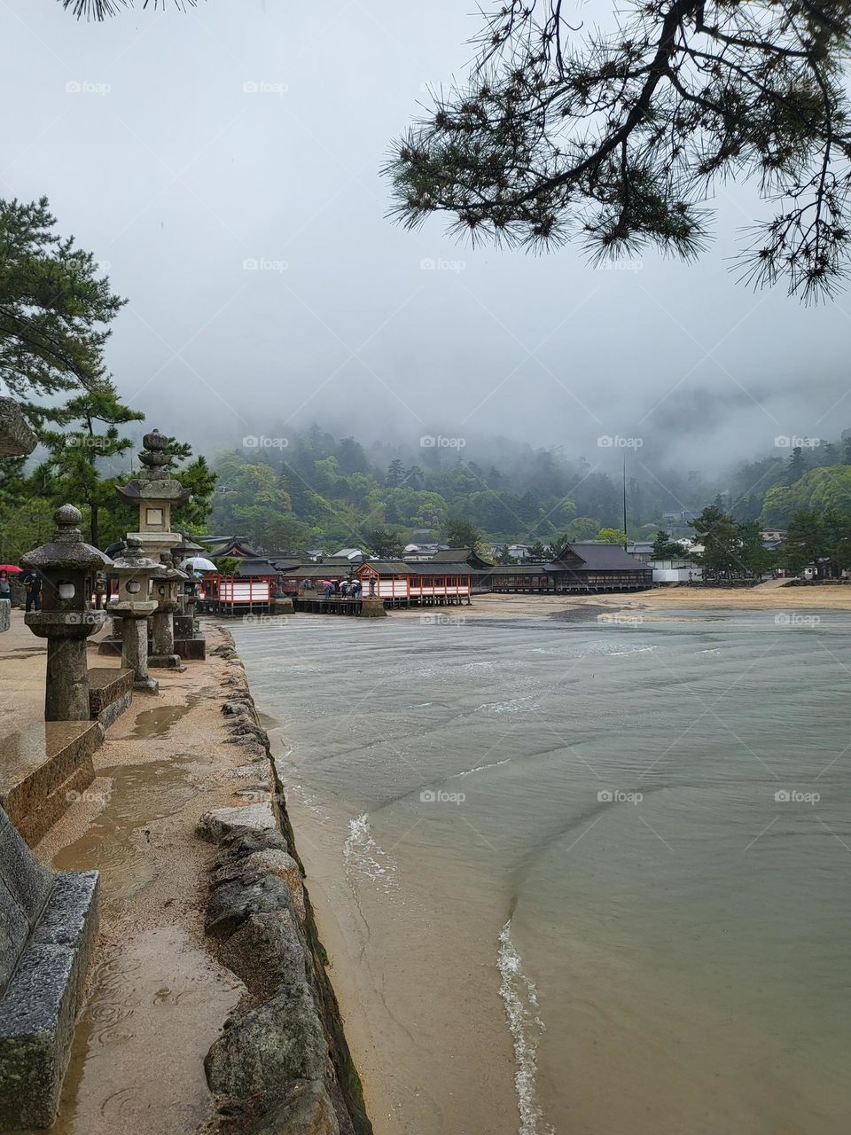 Fog covering the island 🏝