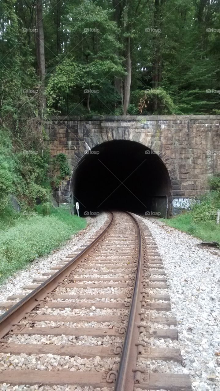 a dark and creepy tunnel entrance