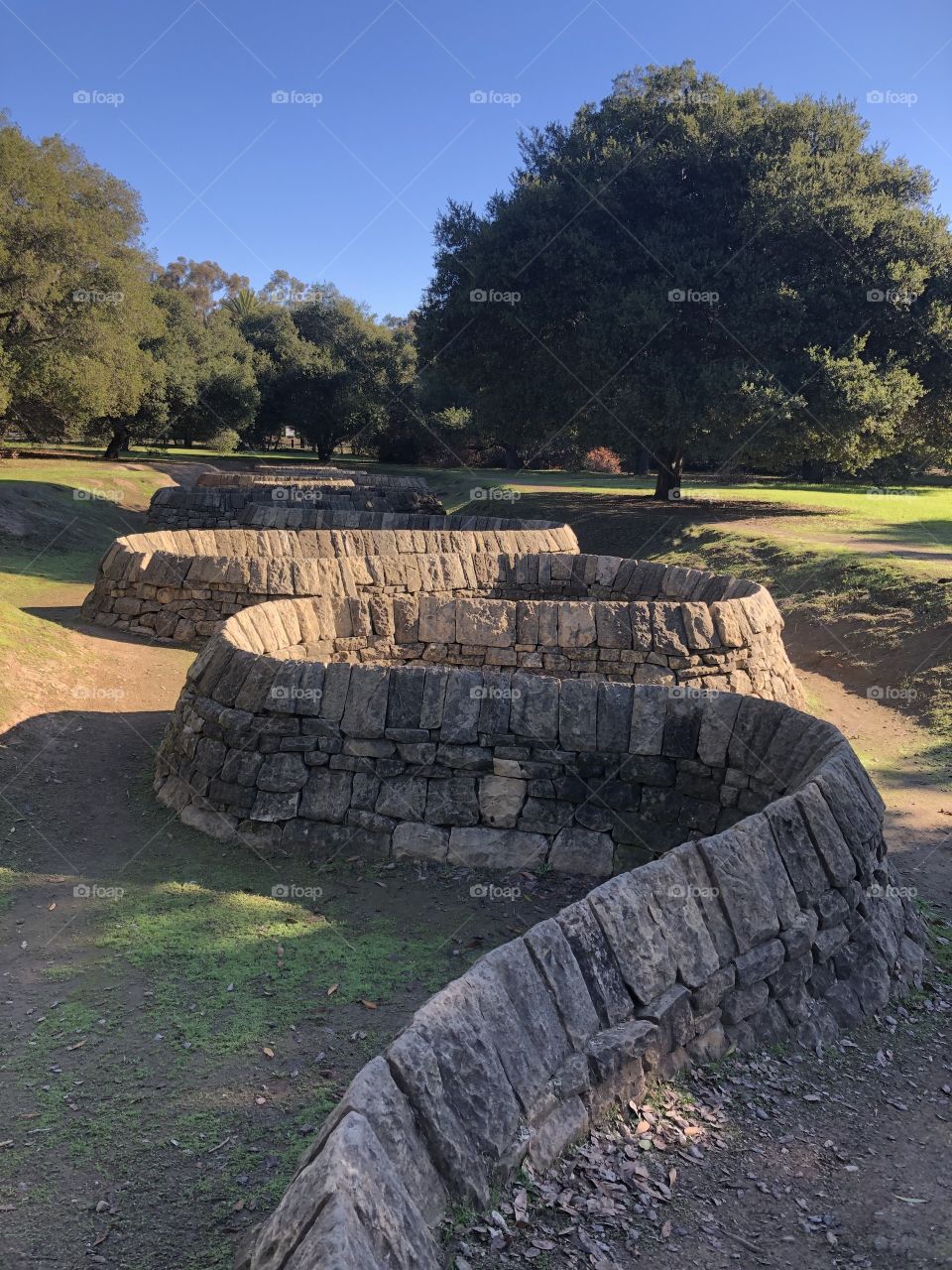 Rock wall snake