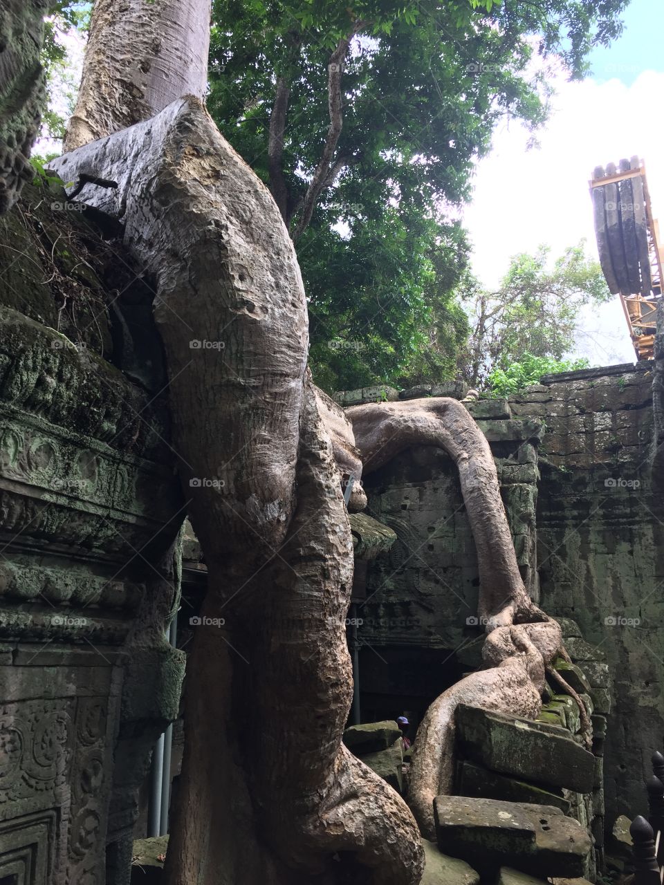 Ta prohm 