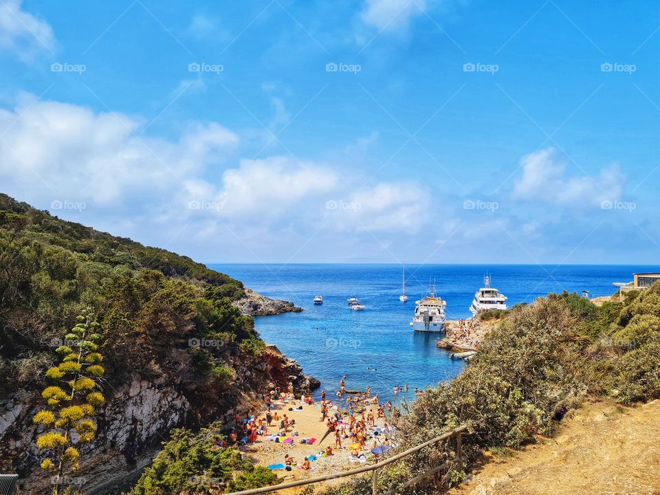 view from the top of the sea of ​​the island of Giannutri (Tuscany)