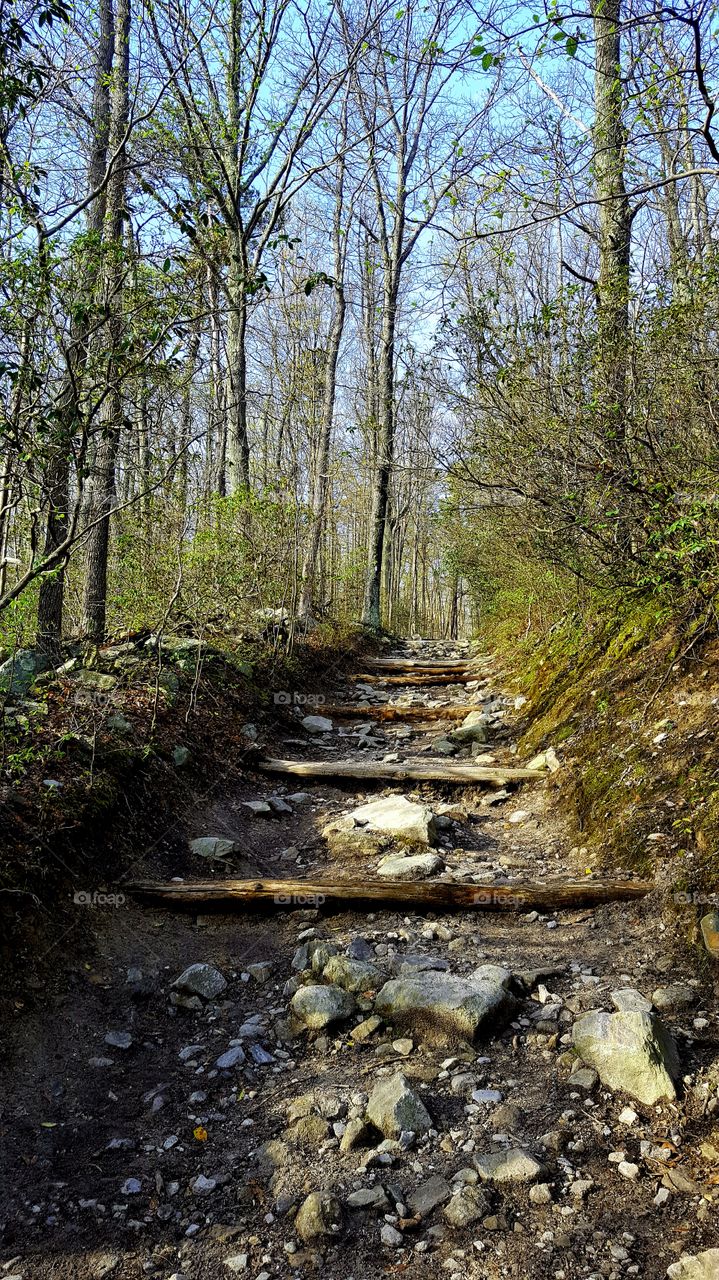 Uphill hike Appalachian trail