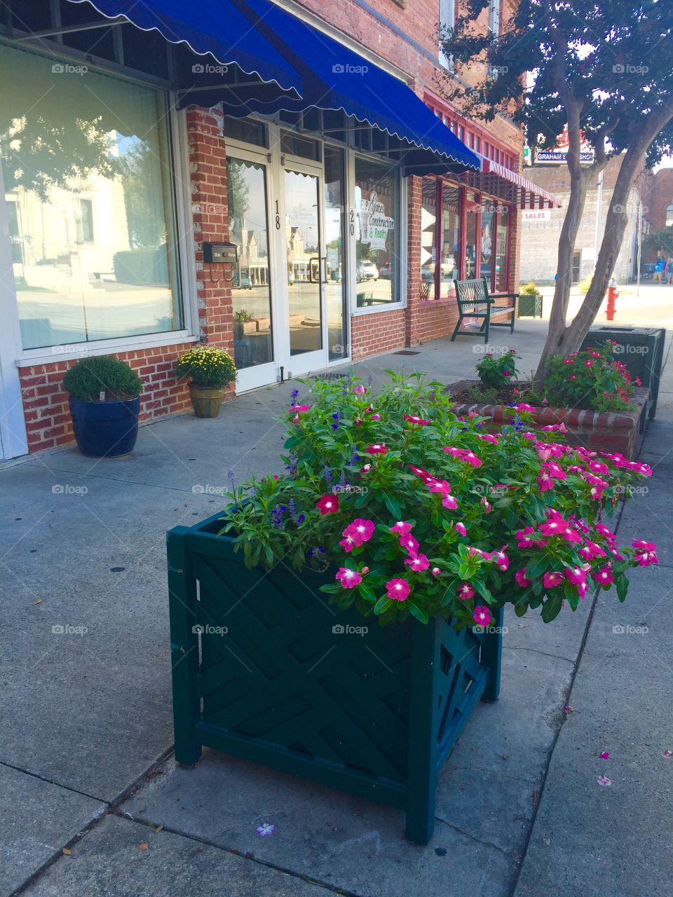 city sidewalk with flowering planters 
