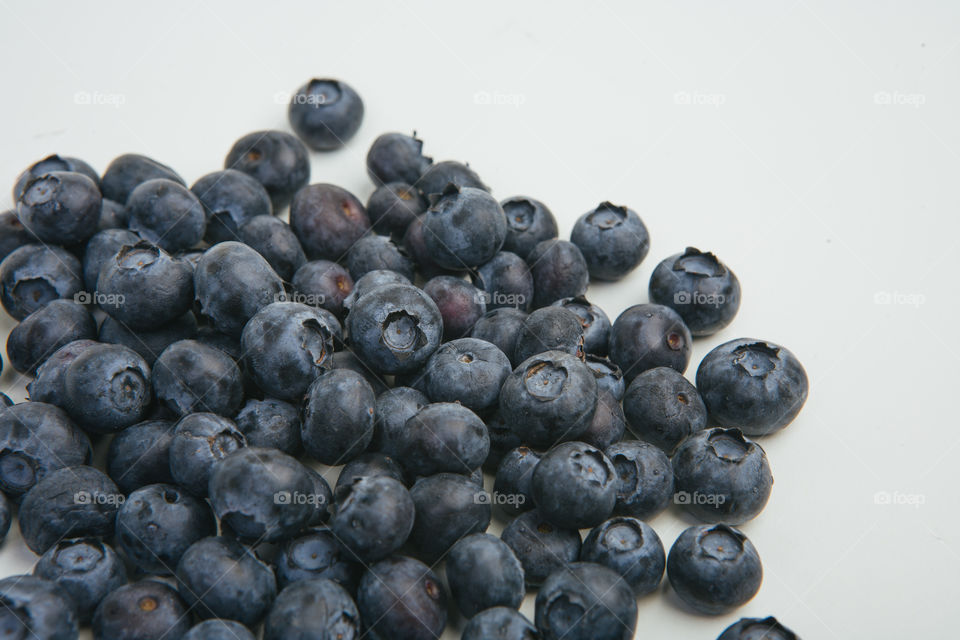 Scattered blueberries on white background in studio
