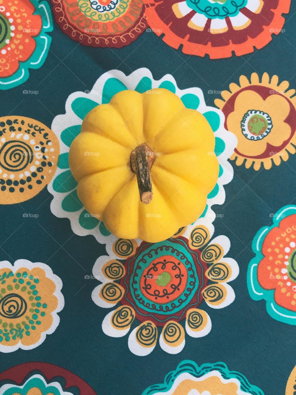 Bright yellow gourd framed by a circular shape of a flower on a multi-coloured tablecloth.  Gourdgeous!