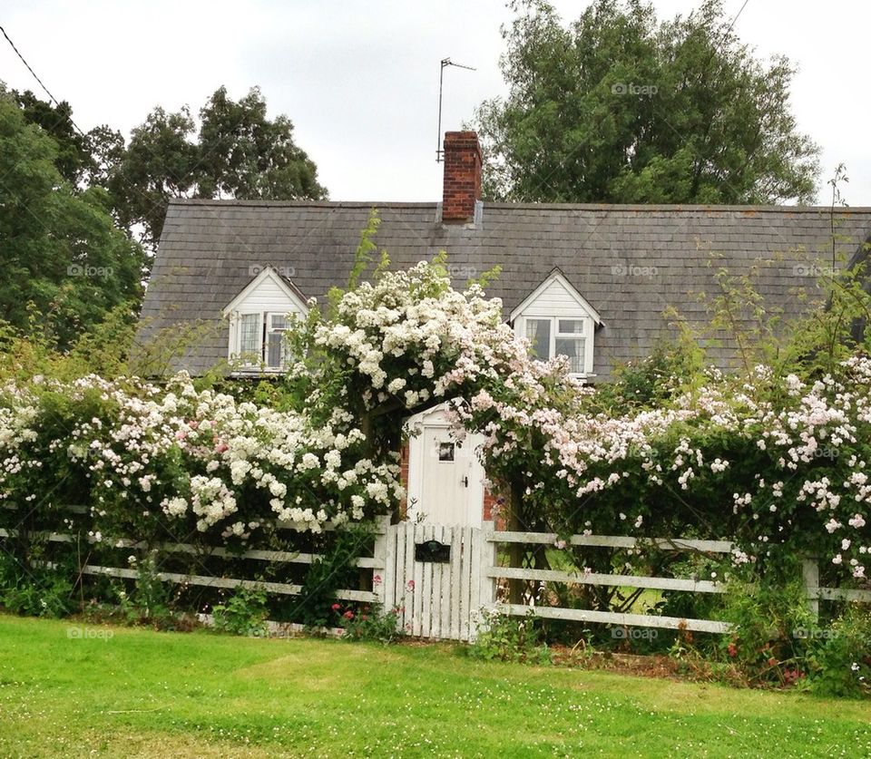 Country cottage