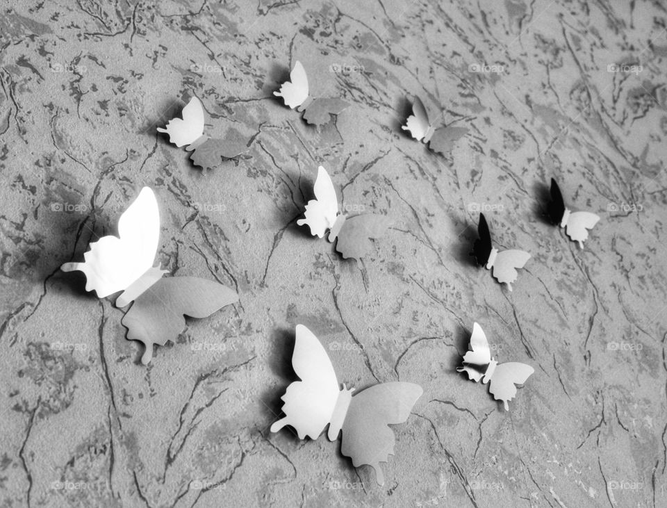 Butterfly mirrors on the wall