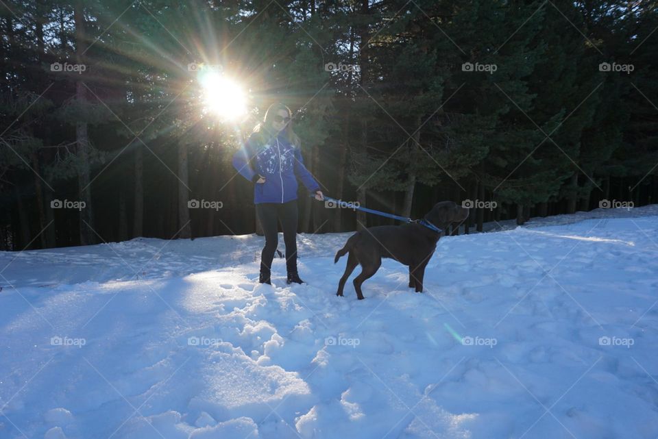 Snow#human#dog#sun