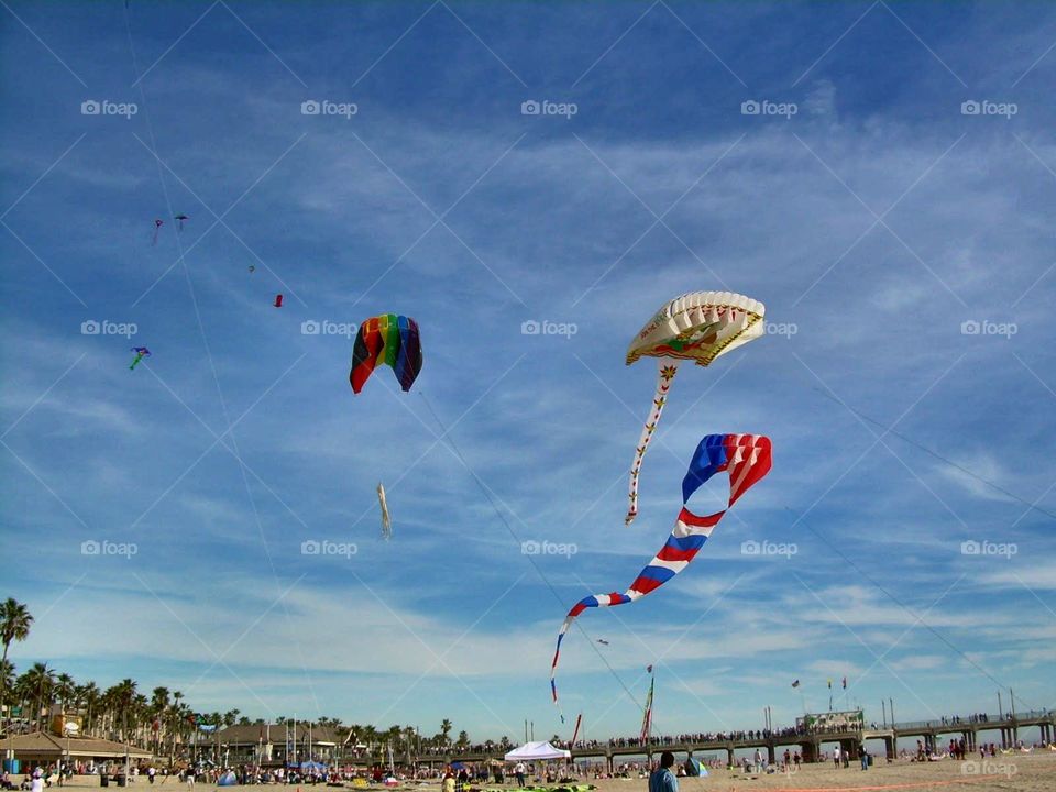 Flying kites