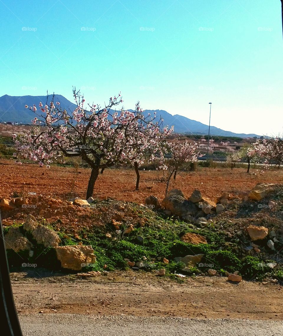 landscape in cartagena