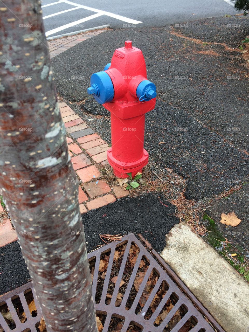 Colourful fire hydrant 