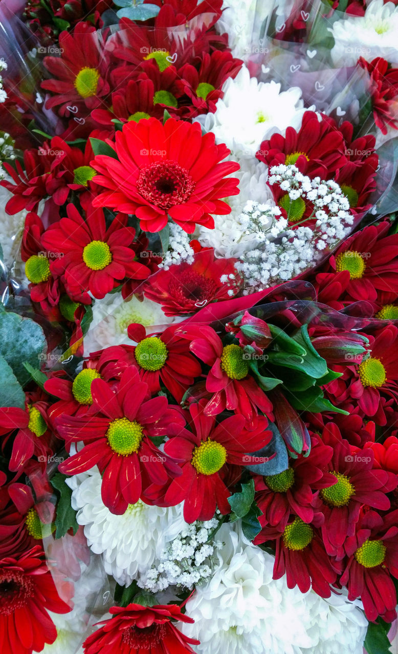 Red and white floral bouquets in a shop