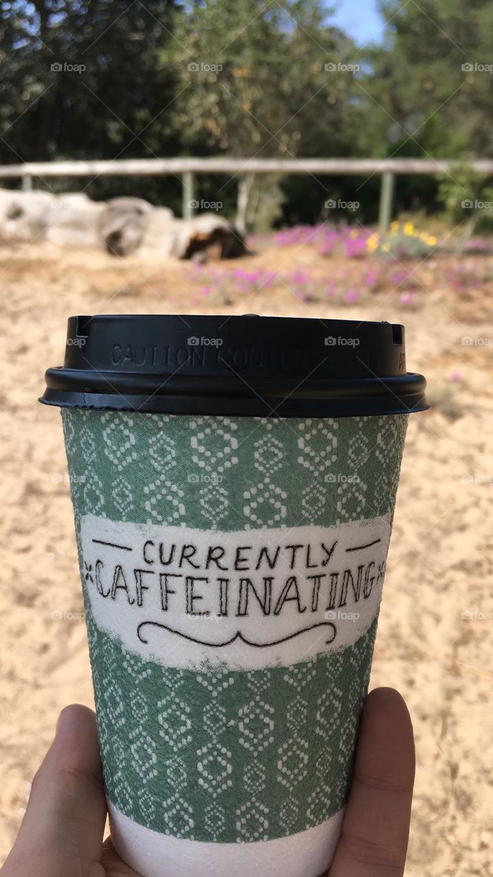 Beach Camping & Caffeinating 