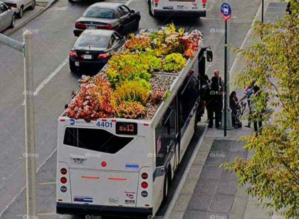 Maximizing all available space including bus rooftops to garden