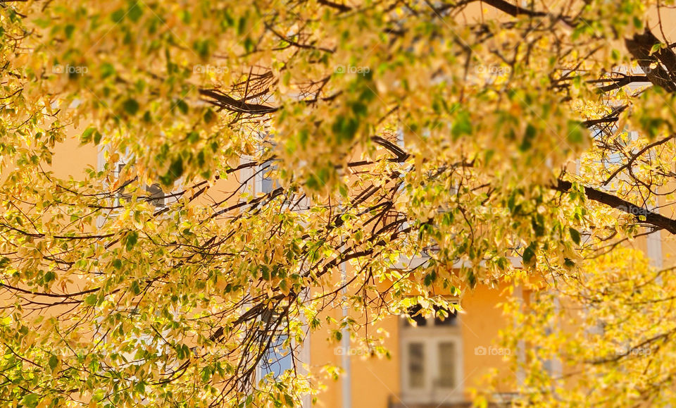 Autumn is knocking on the door