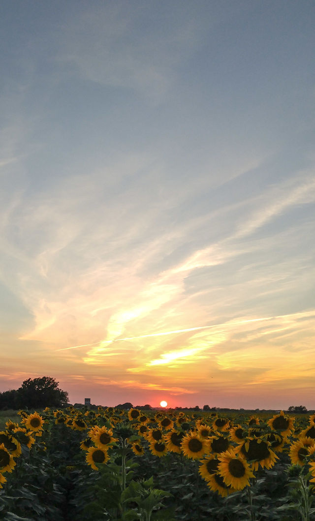Another Kansas Sunset
