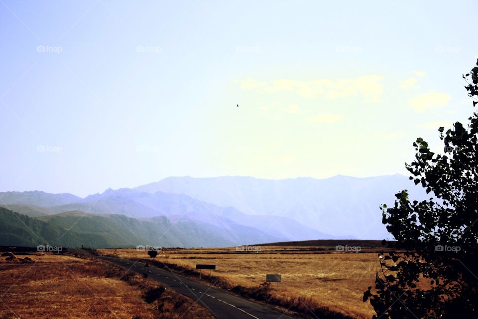 Mountain road in Kotayk, Armenia, with an eagle flying in the middle of bright blue clear sky
