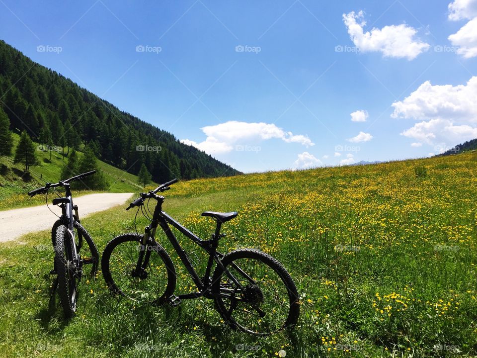 Bicycle on grassy lane