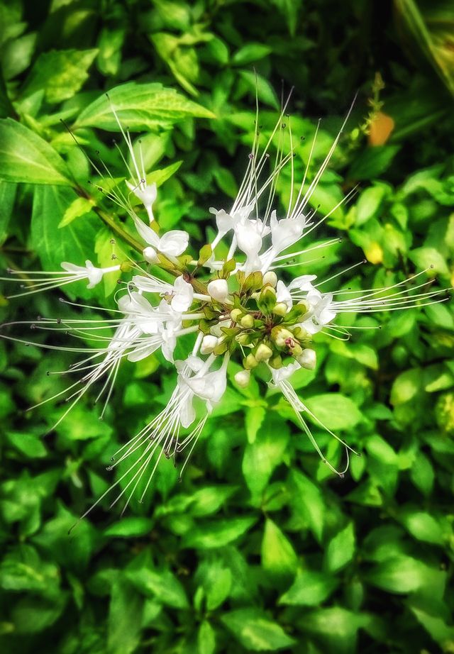 glow on the green
