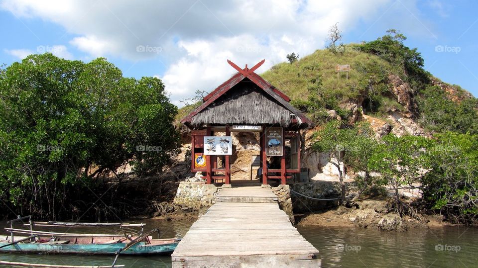 Komodo national park 