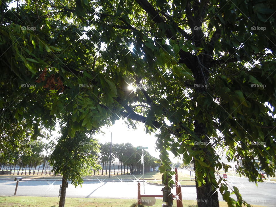 Sunday afternoon. This is a Sunday afternoon photo 📷.... 👣 🚶 🏃 🔥 💨