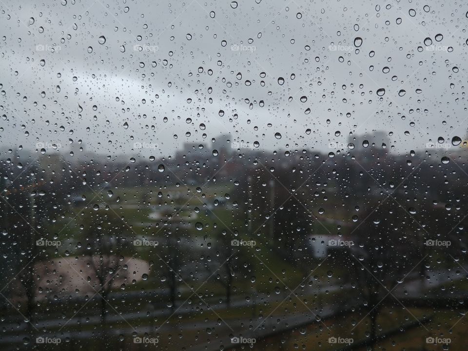a rainy boston commons