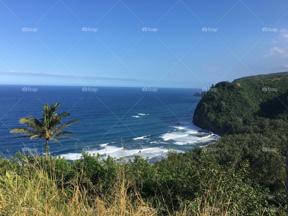 Hawaii cliff 