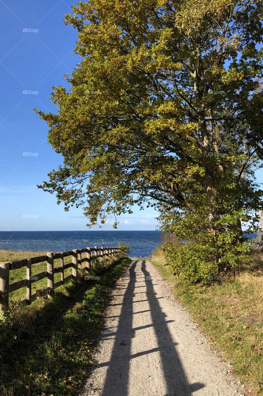 Ocean view, walking on the path