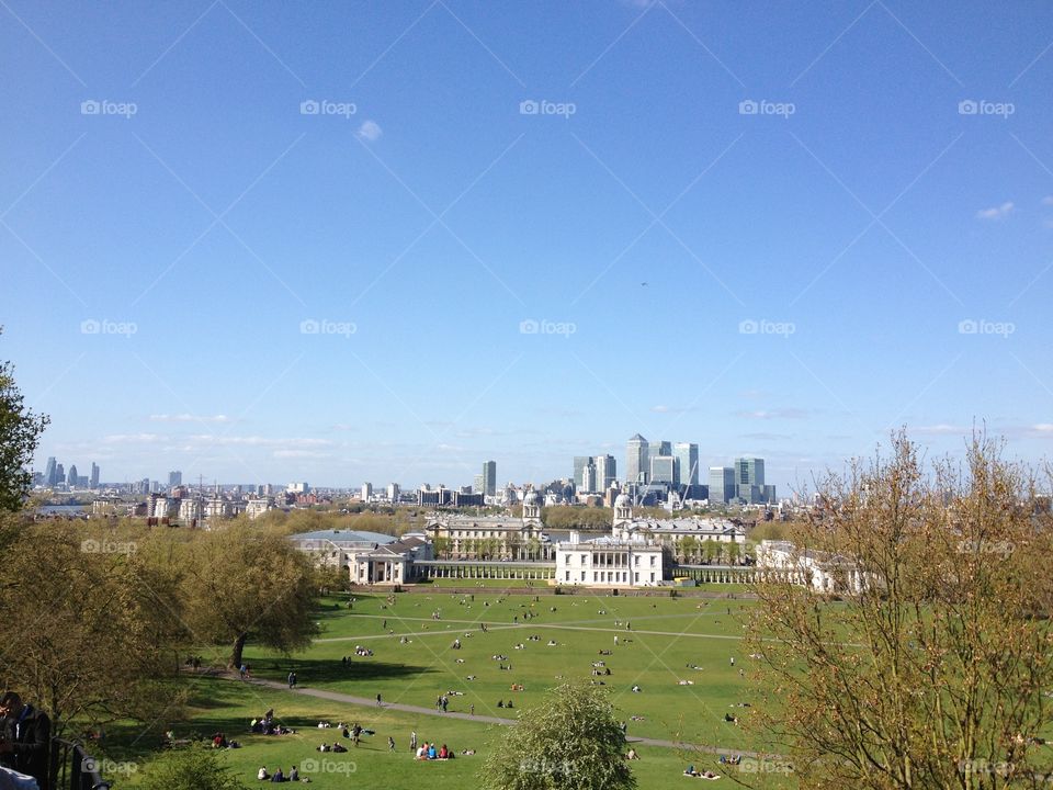 Garden and skyscrapers 