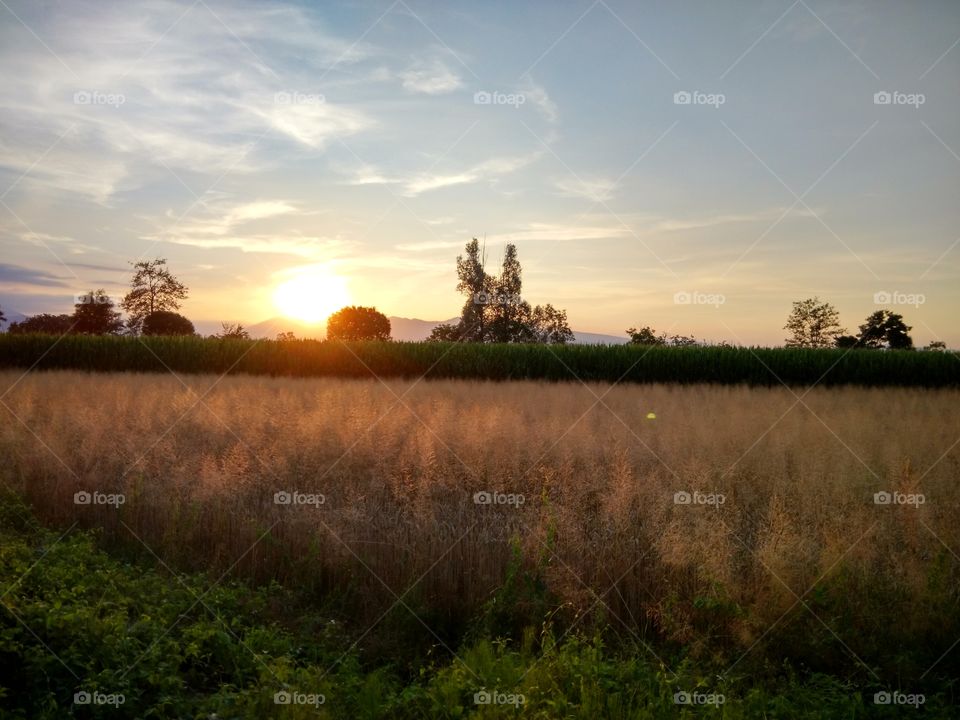 Sunset in countryside