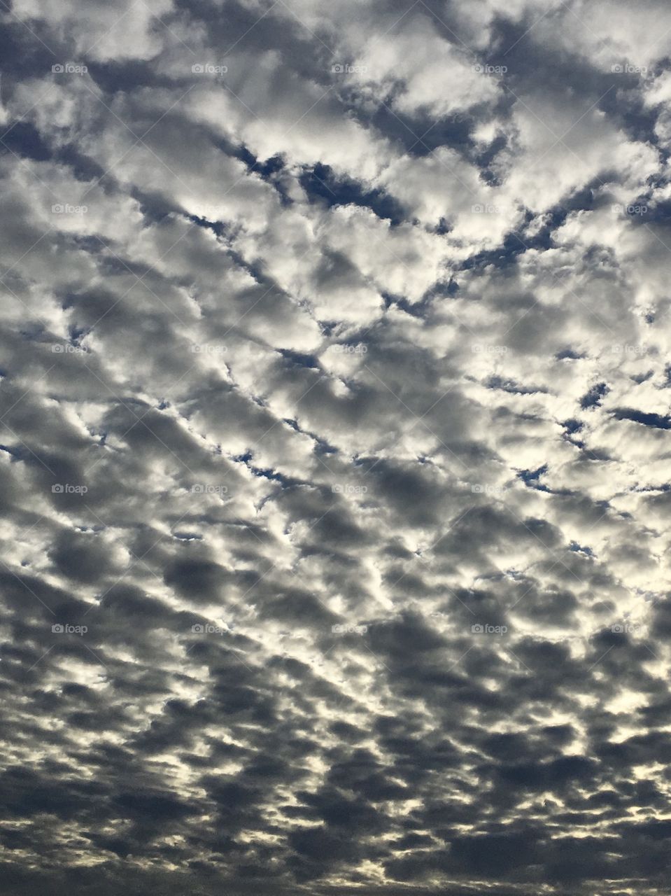 Sky full of beautiful clouds 
