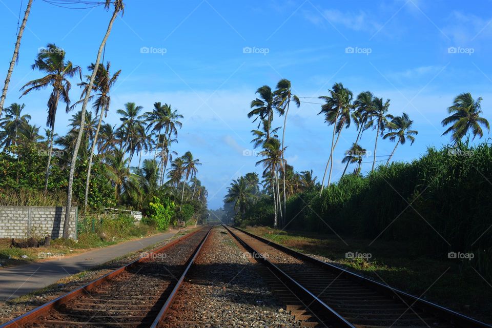 view of train track nature background coconut tree blue sky