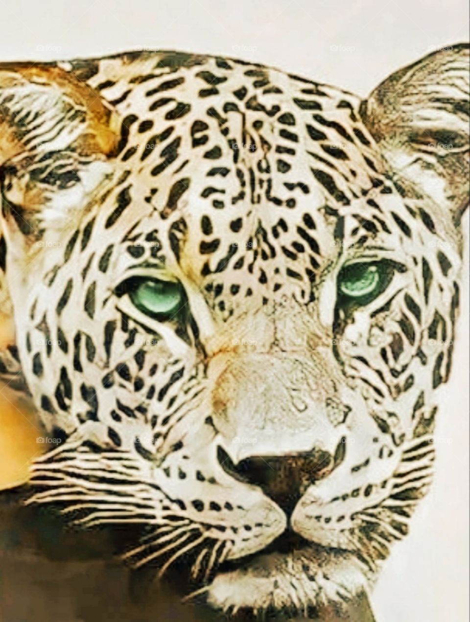 A most beautiful and attractive tiger.