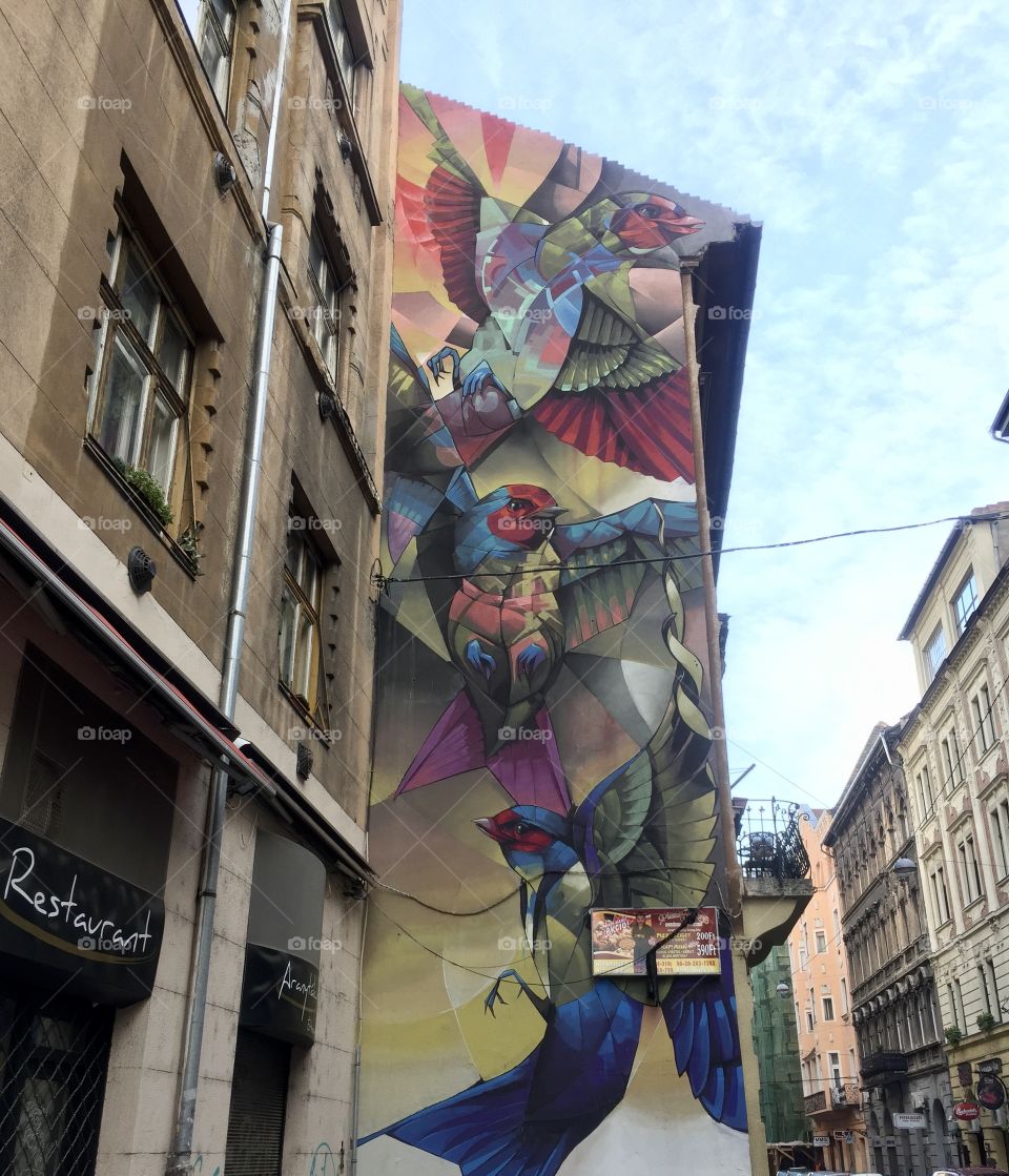 Street art in Hungary, Budapest