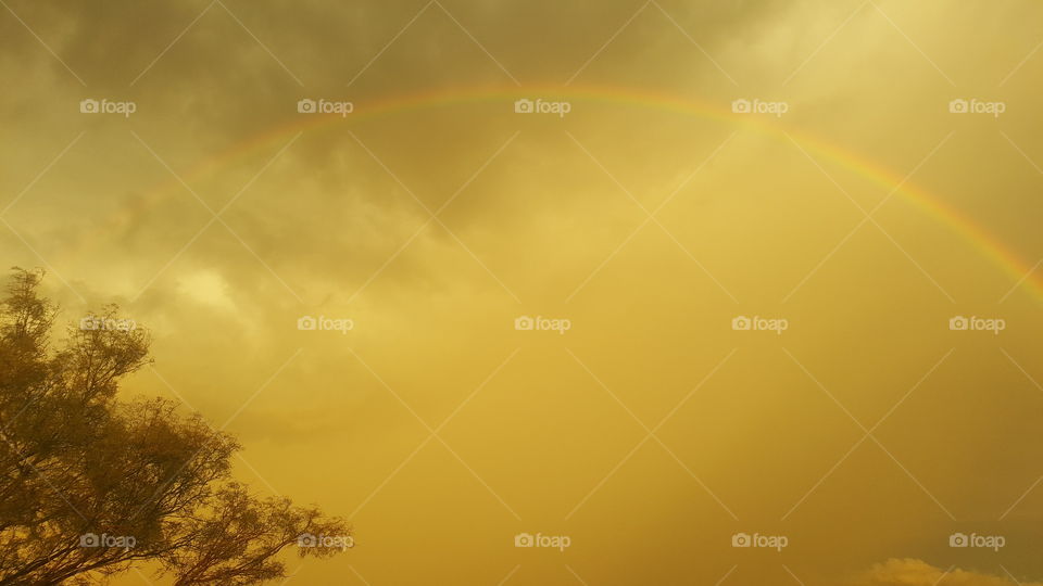 stormy gold rainbow