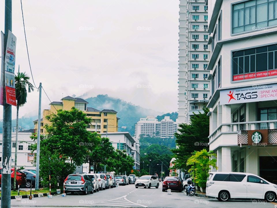 "I felt my lungs inflate with the onrush of scenery—air, mountains, trees, people. I thought, 'This is what it is to be happy.' "