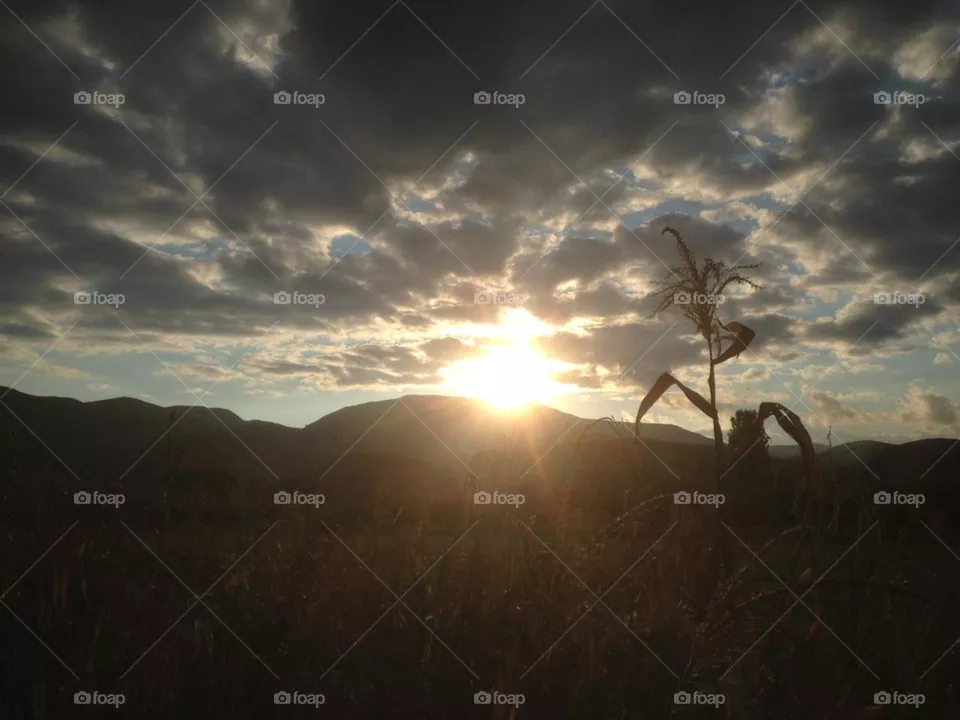 sun