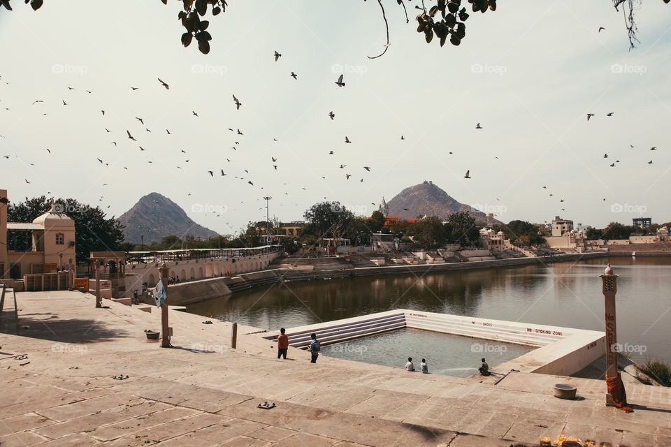 Birds fly over a holy lake in Pushkar, India.