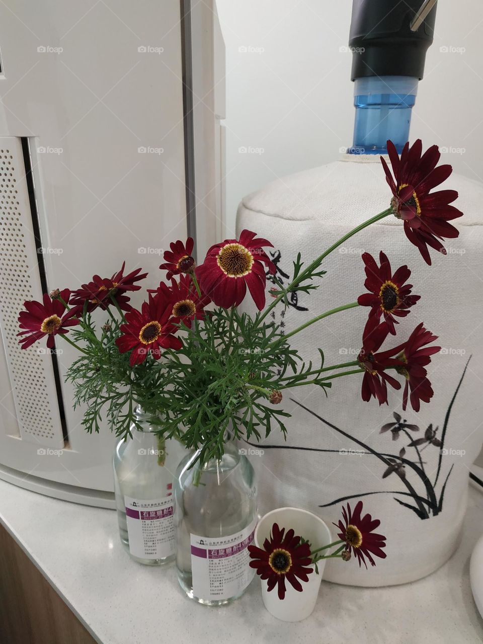 "Red Daisies in Glass Bottles"