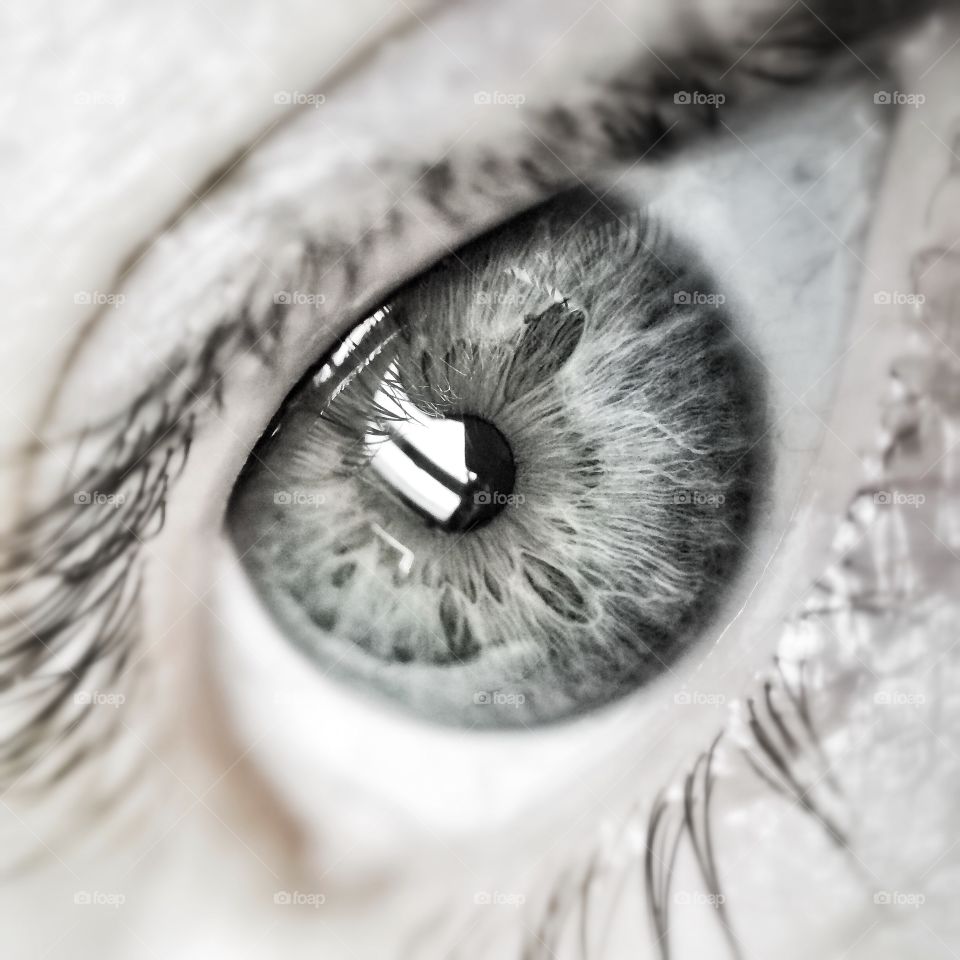 Eye