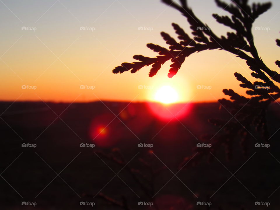 Silhouette and sunset 