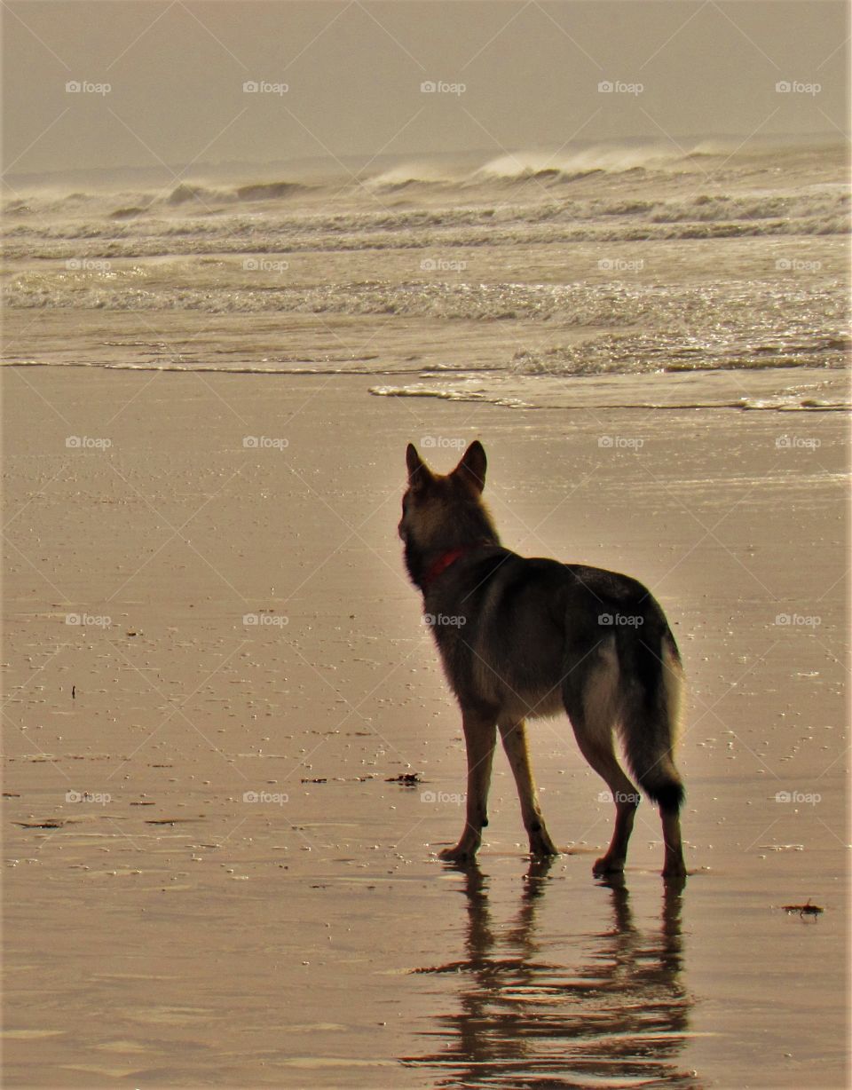 On the beach