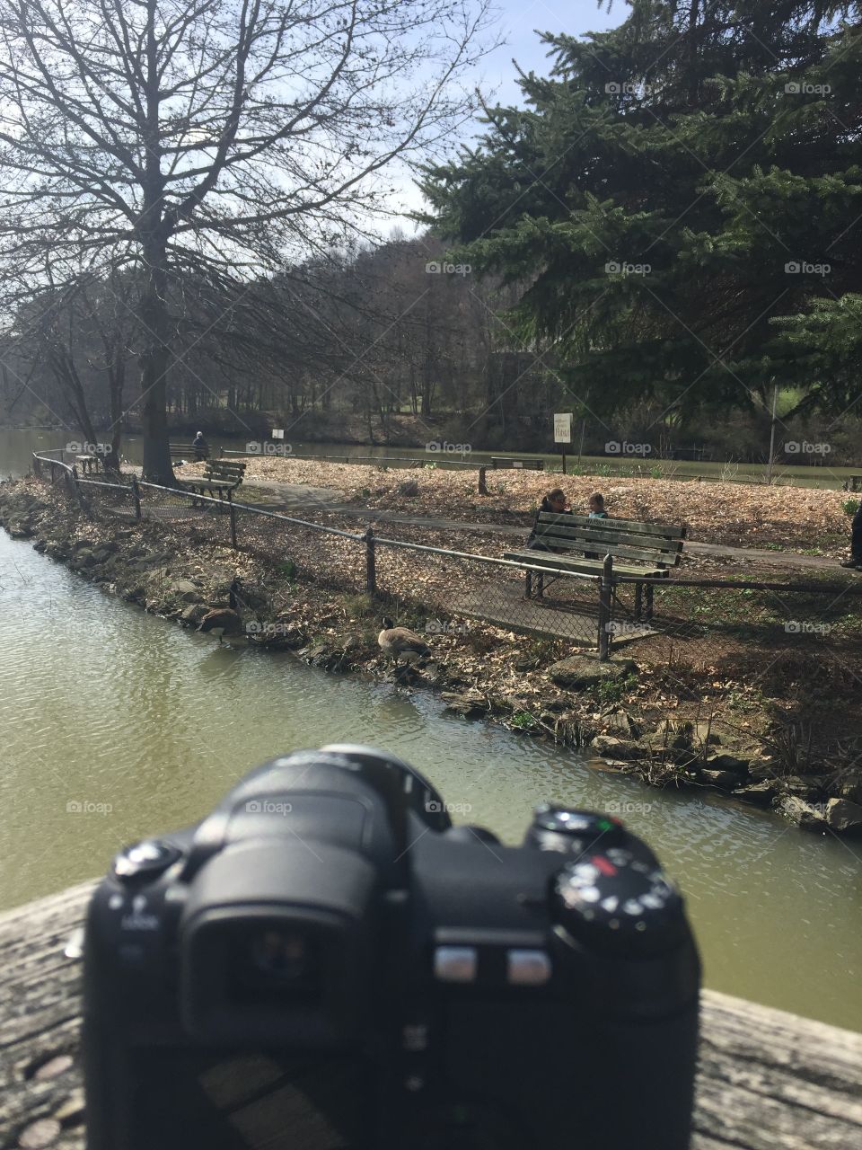 What the camera sees