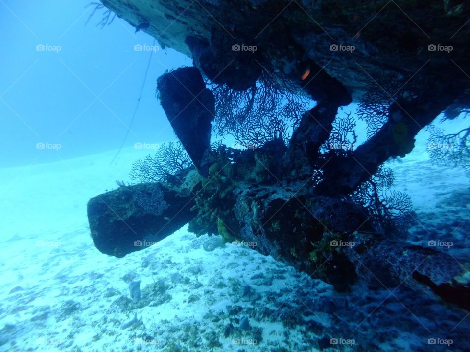 Shipwreck prop