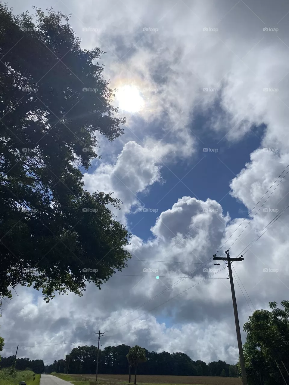 A beautiful morning 
