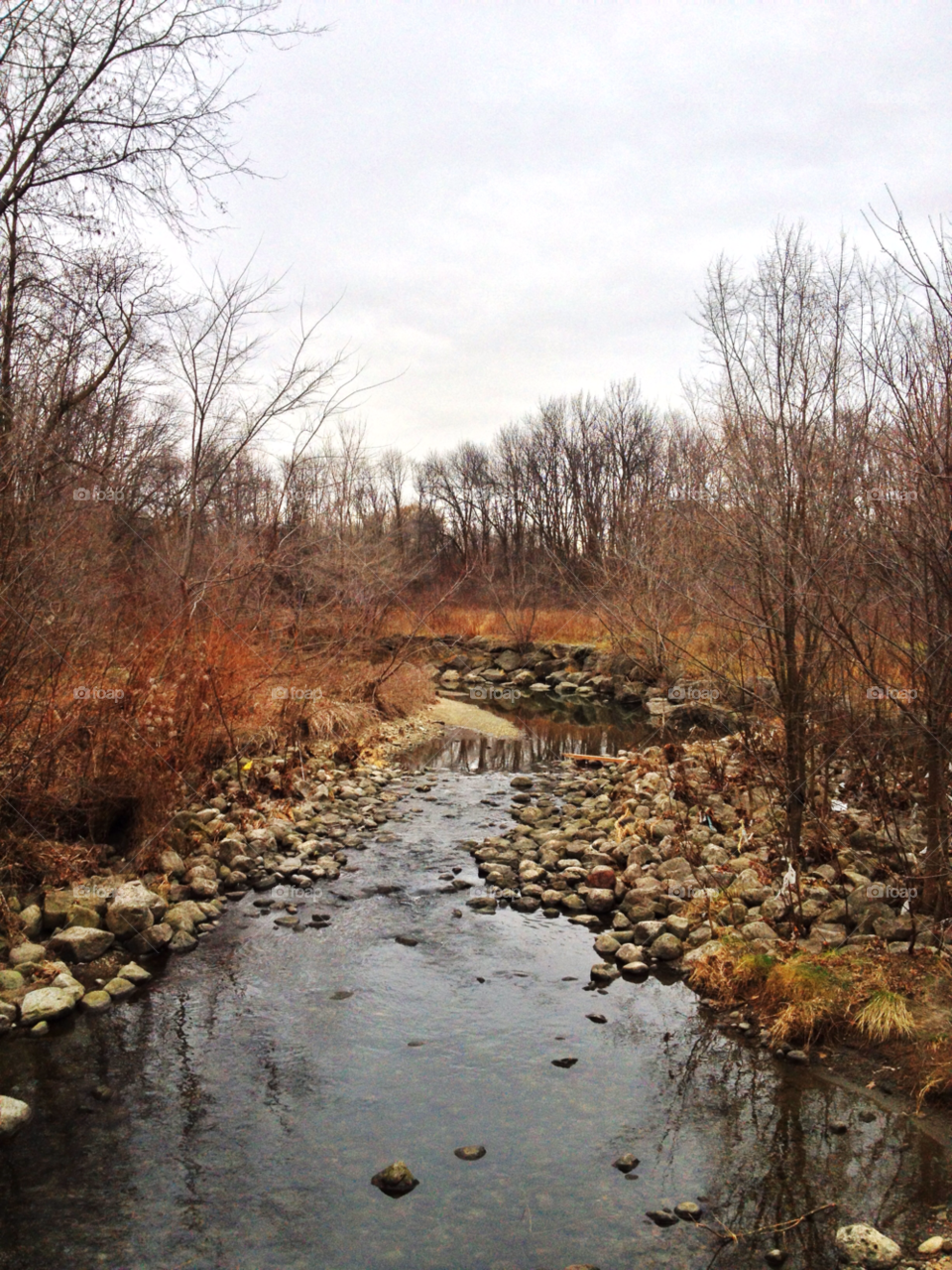 sky field trees water by michael_aldsworth